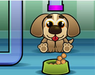 Feed my pet dog numbers Eperkés HTML5 játék