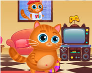 Lovely virtual cat Eperkés HTML5 játék